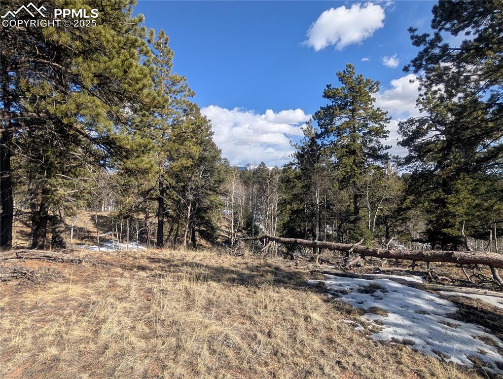 56 Rampart Circle Florissant CO 80816