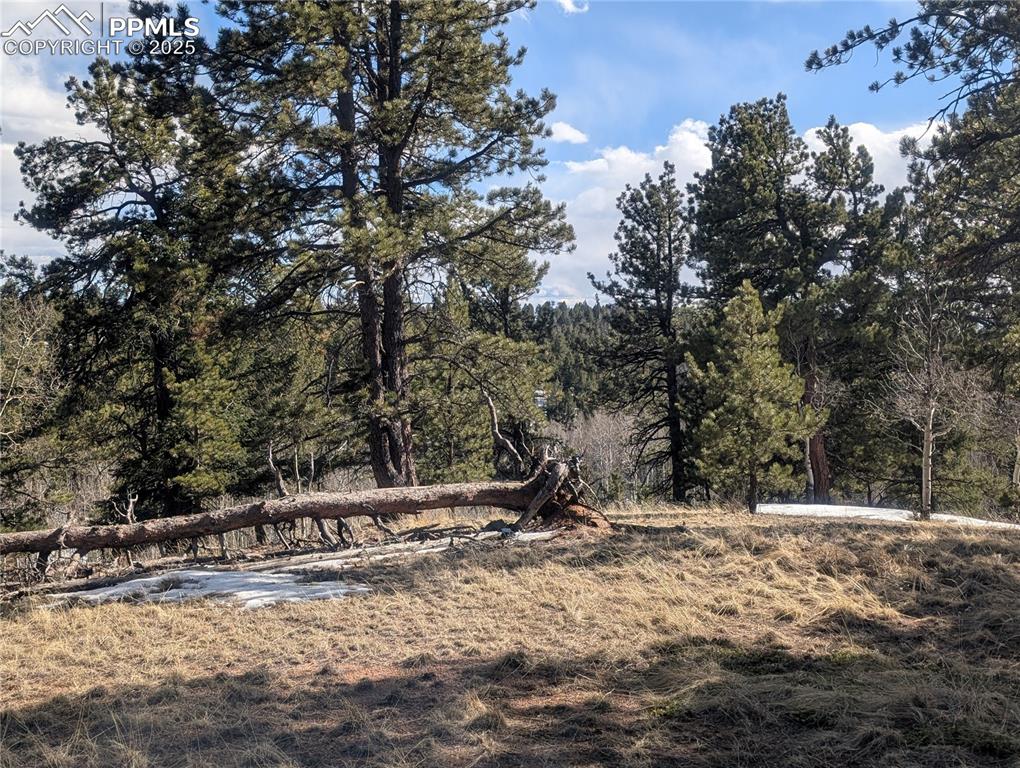 56 Rampart Circle Florissant CO 80816