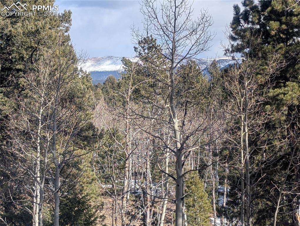 56 Rampart Circle Florissant CO 80816
