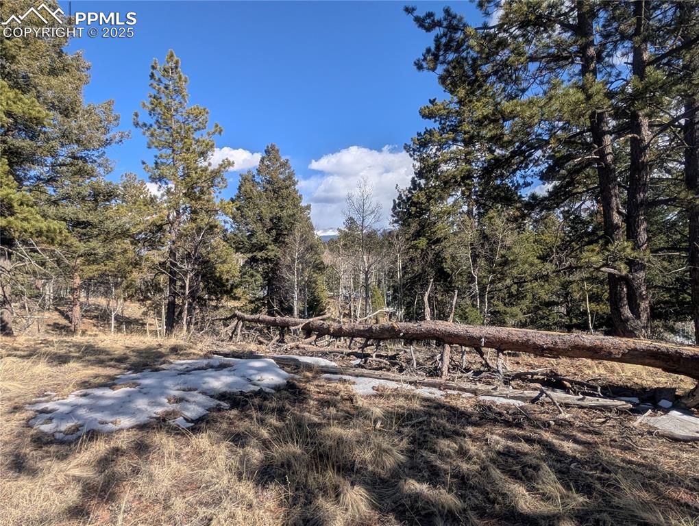 56 Rampart Circle Florissant CO 80816