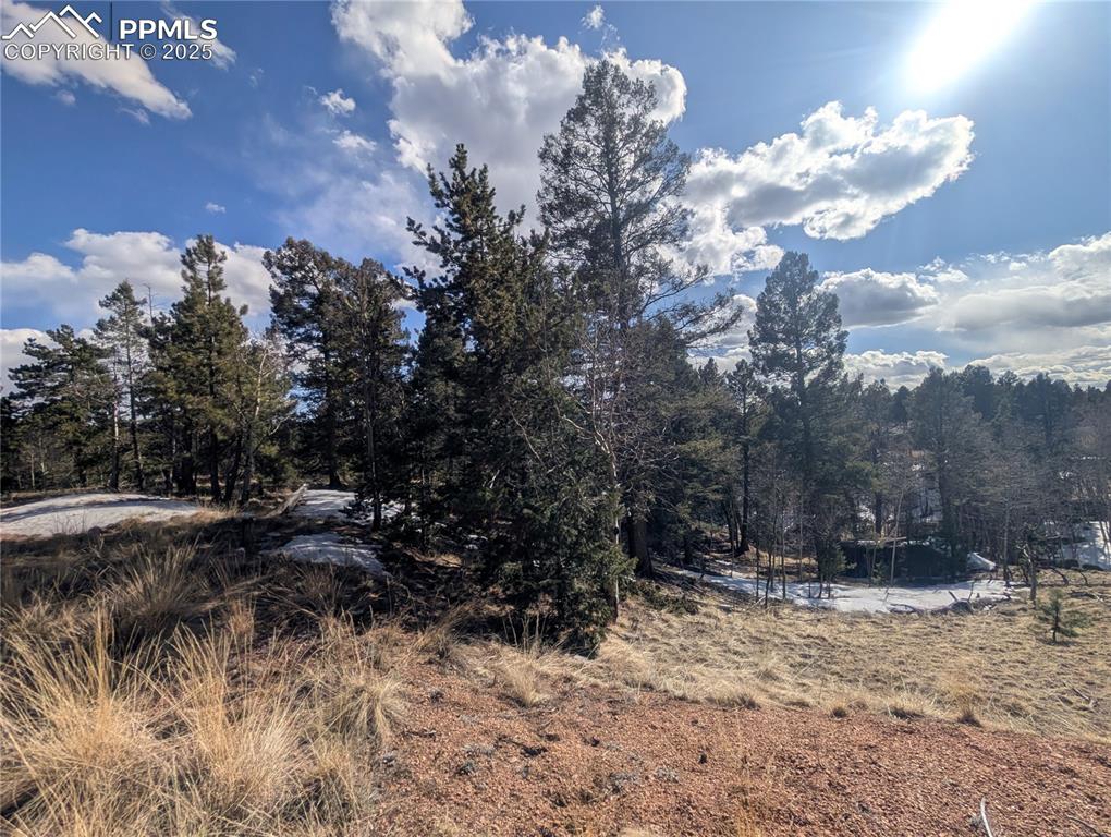 56 Rampart Circle Florissant CO 80816
