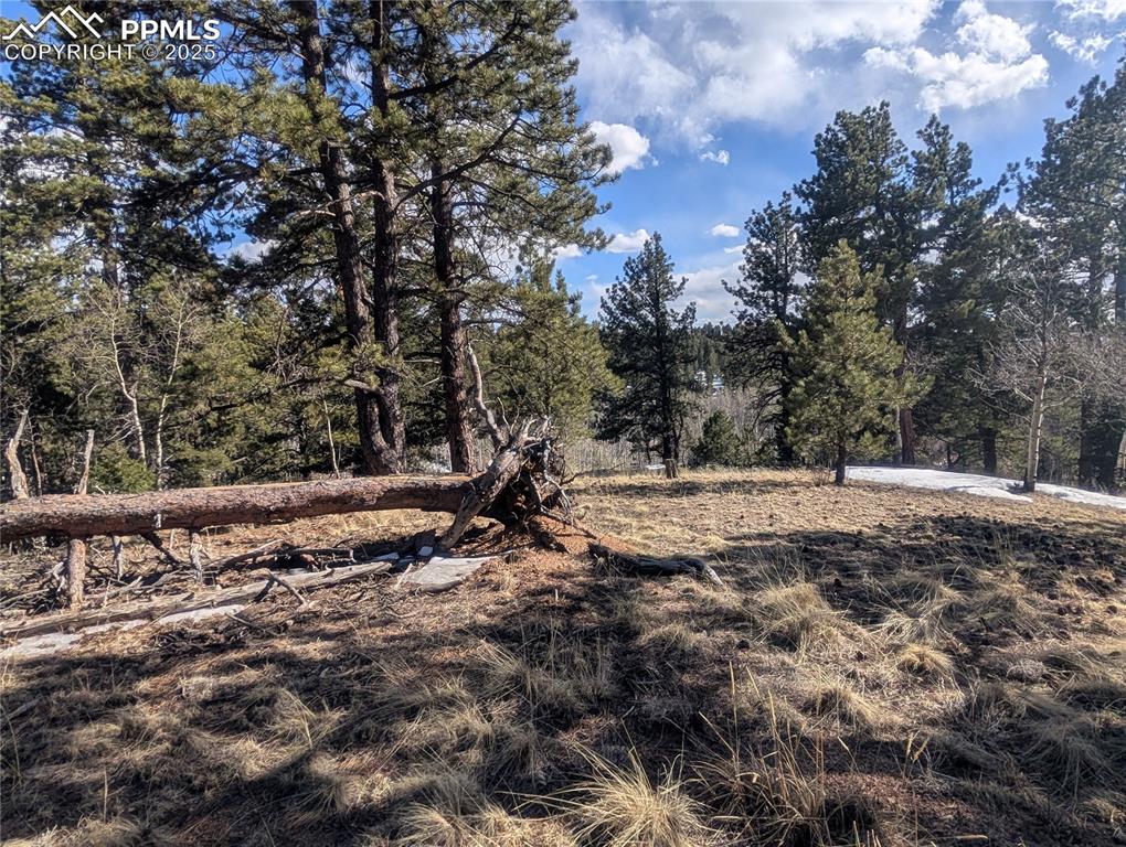 56 Rampart Circle Florissant CO 80816