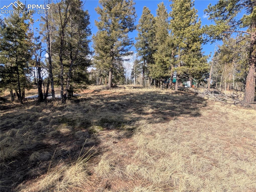 56 Rampart Circle Florissant CO 80816