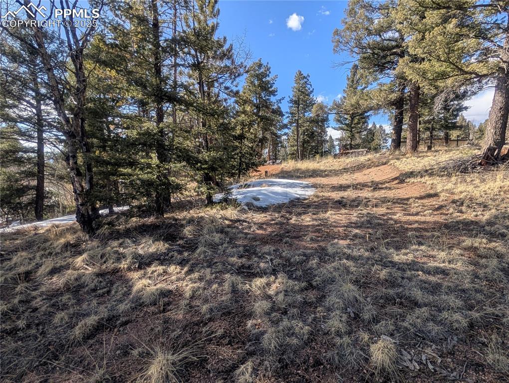 56 Rampart Circle Florissant CO 80816