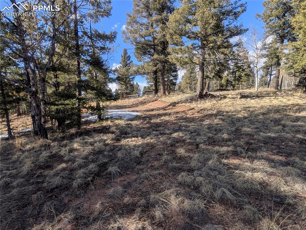 56 Rampart Circle Florissant CO 80816