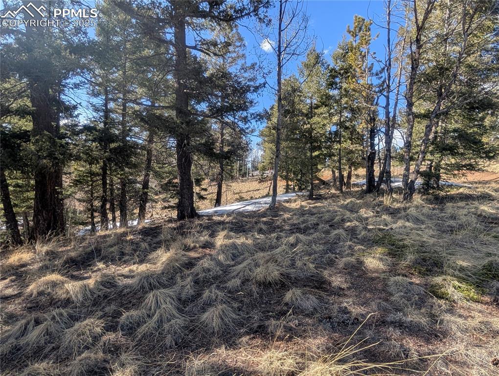 56 Rampart Circle Florissant CO 80816