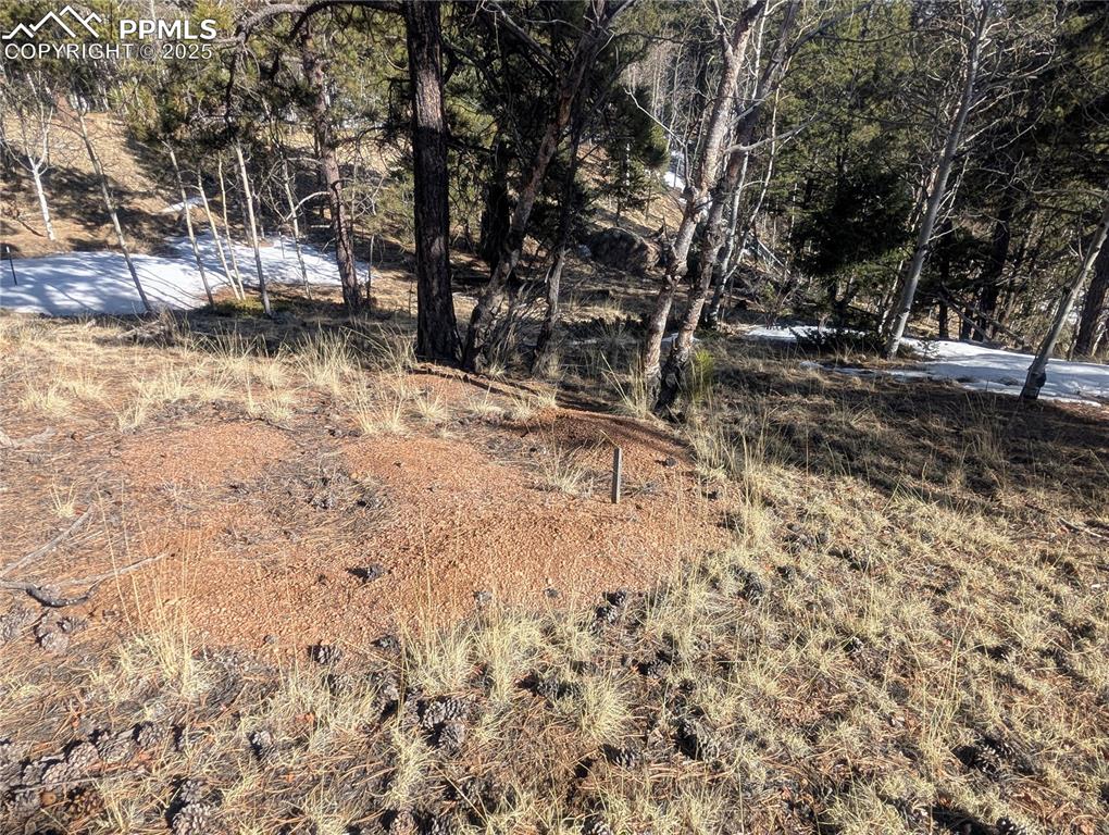 56 Rampart Circle Florissant CO 80816