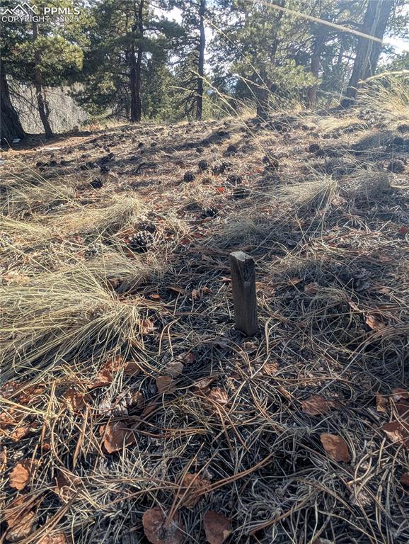 56 Rampart Circle Florissant CO 80816