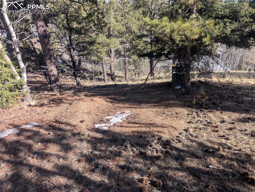 56 Rampart Circle Florissant CO 80816