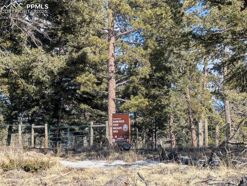 56 Rampart Circle Florissant CO 80816