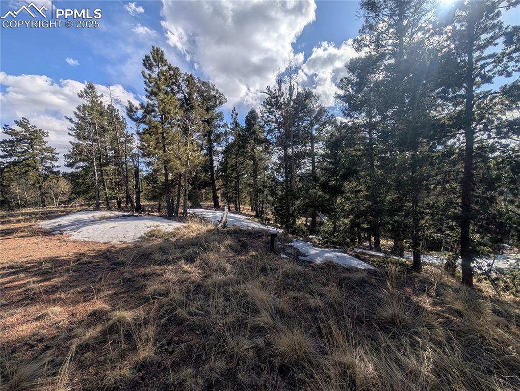 56 Rampart Circle Florissant CO 80816