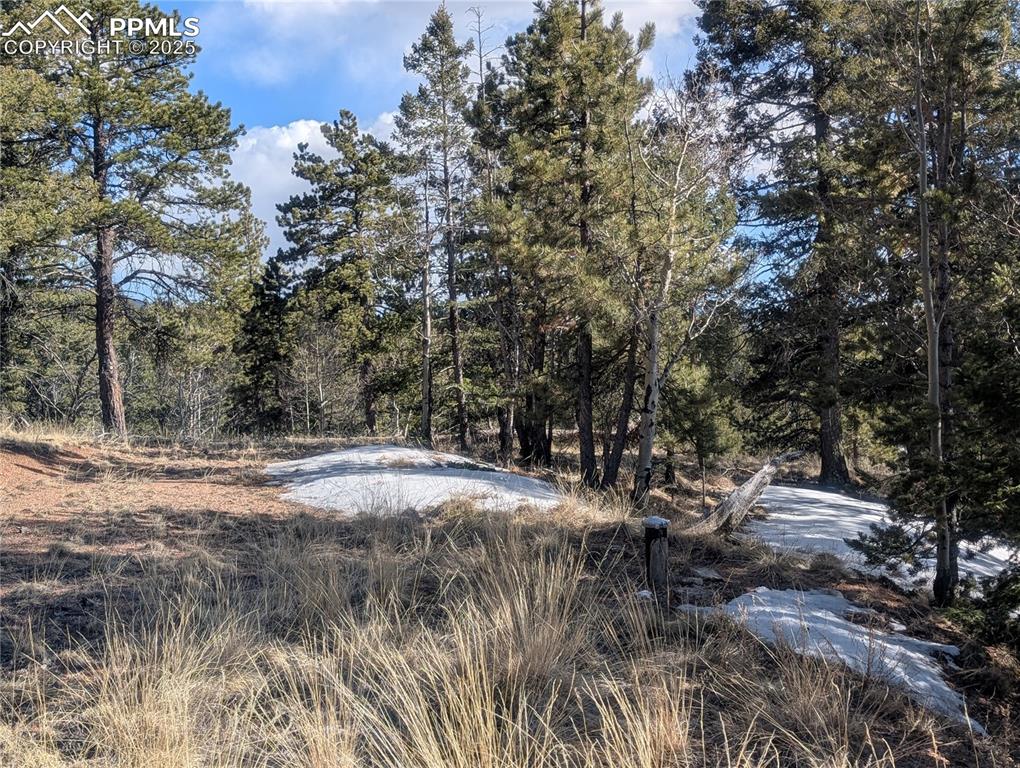 56 Rampart Circle Florissant CO 80816