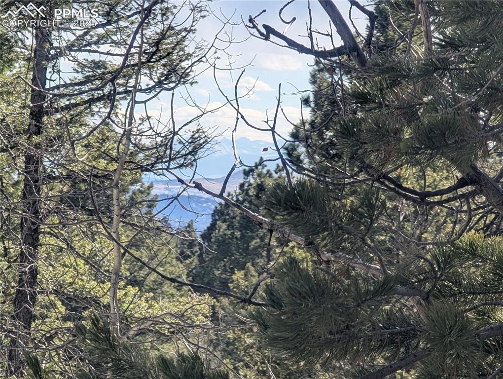 56 Rampart Circle Florissant CO 80816