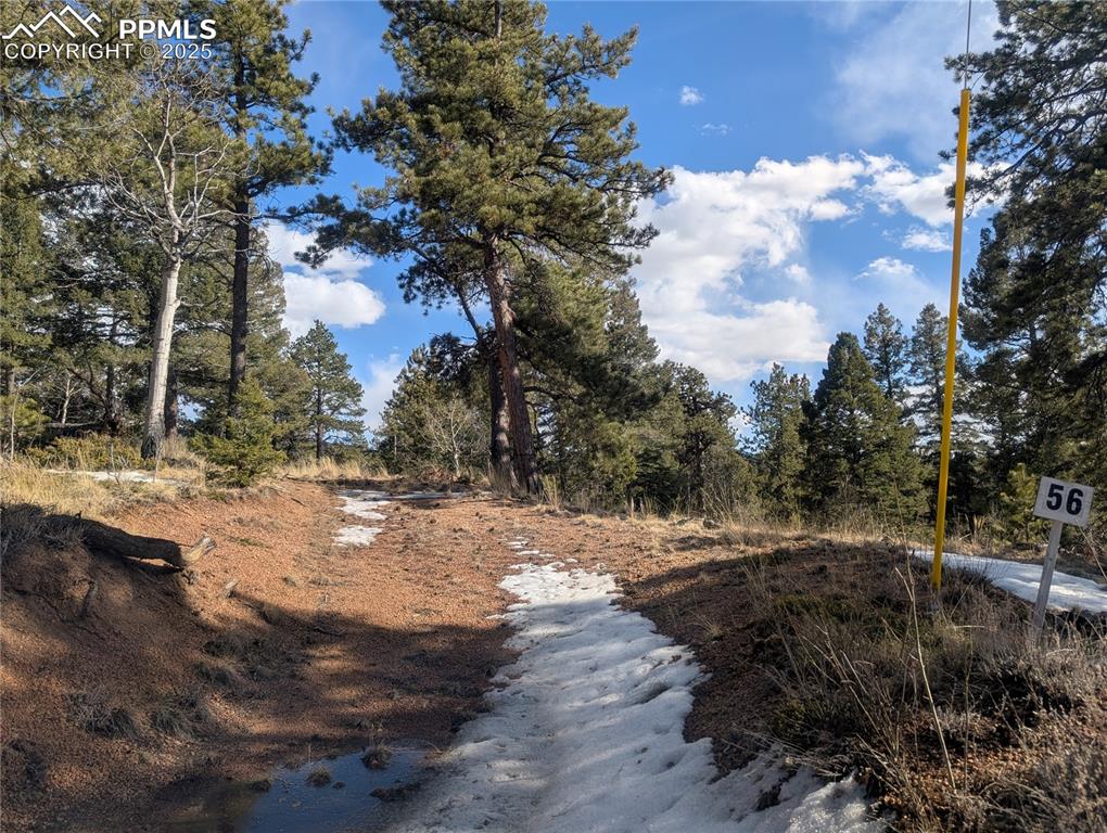 56 Rampart Circle Florissant CO 80816