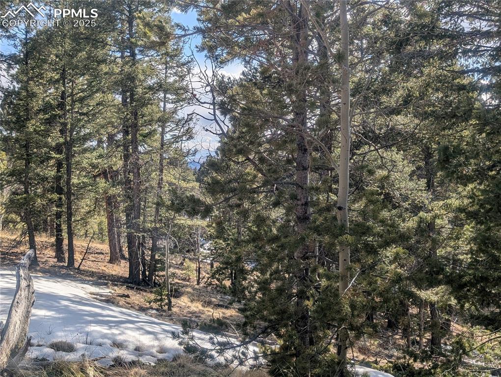 56 Rampart Circle Florissant CO 80816