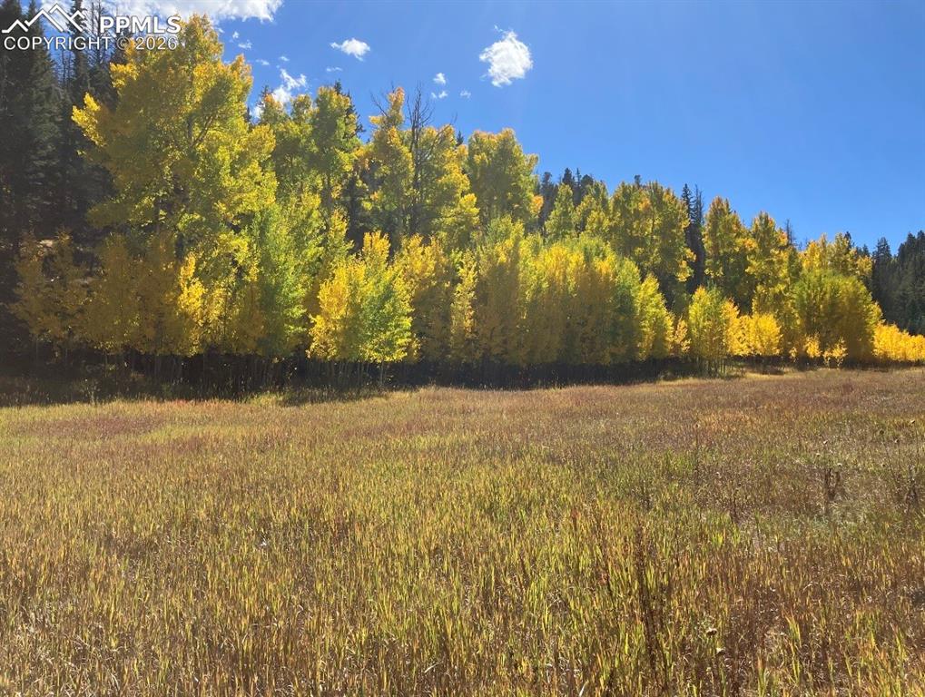 Lot 1 County Road 358 Westcliffe CO 81252