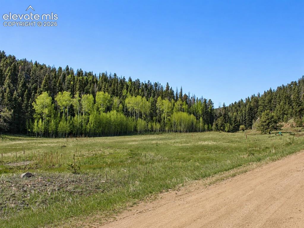 Lot 1 County Road 358 Westcliffe CO 81252