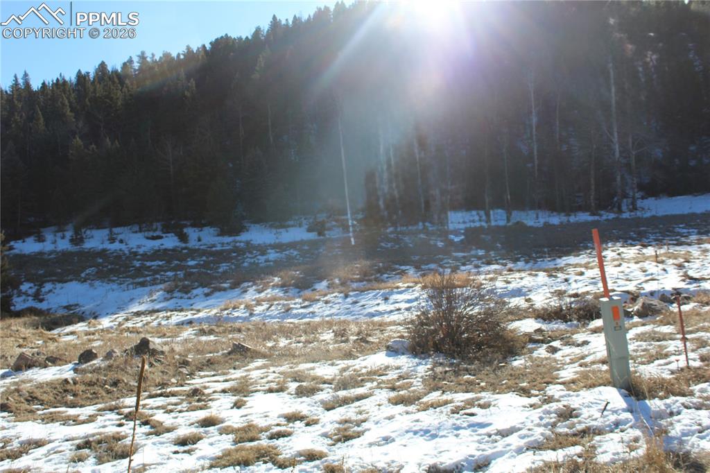 Lot 1 County Road 358 Westcliffe CO 81252