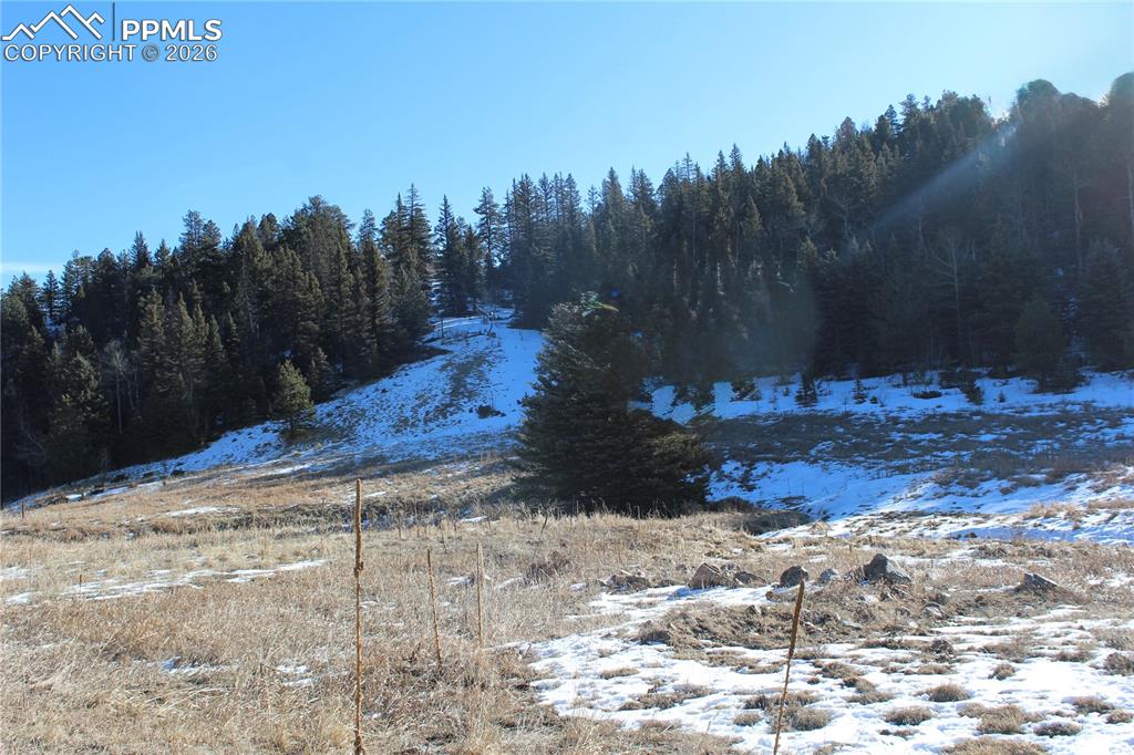 Lot 1 County Road 358 Westcliffe CO 81252