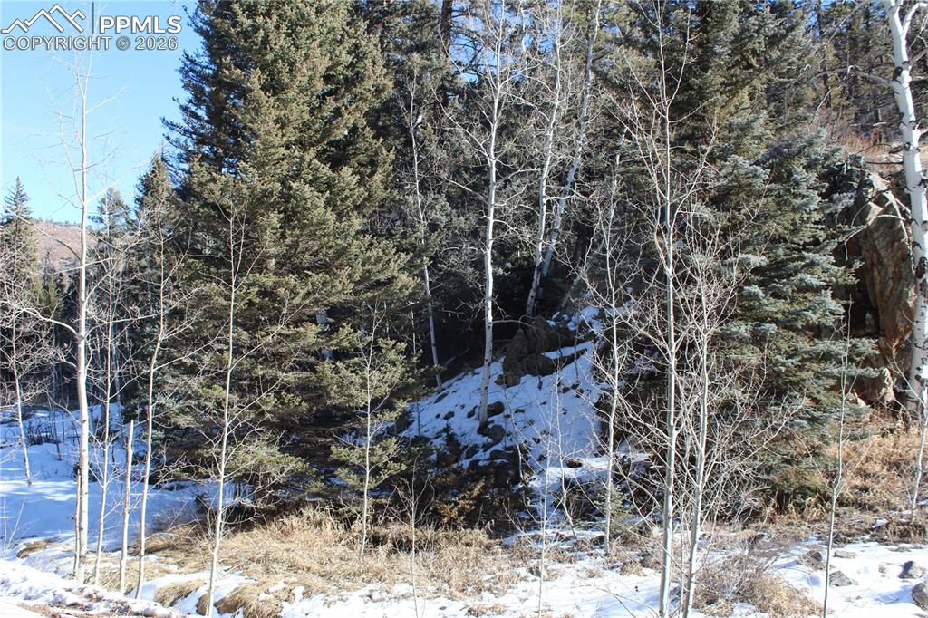 Lot 1 County Road 358 Westcliffe CO 81252