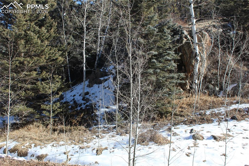 Lot 1 County Road 358 Westcliffe CO 81252