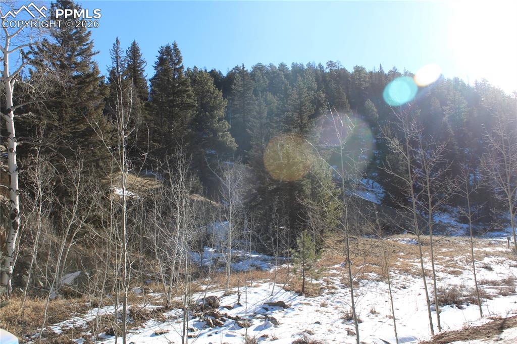 Lot 1 County Road 358 Westcliffe CO 81252