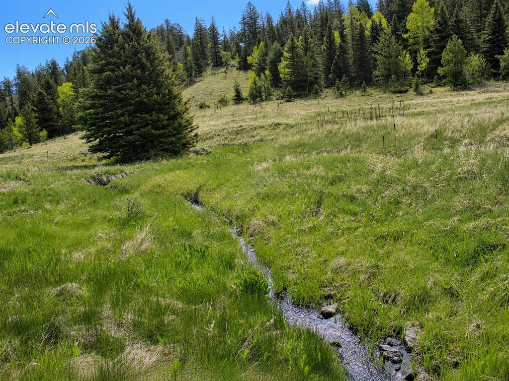 Lot 1 County Road 358 Westcliffe CO 81252