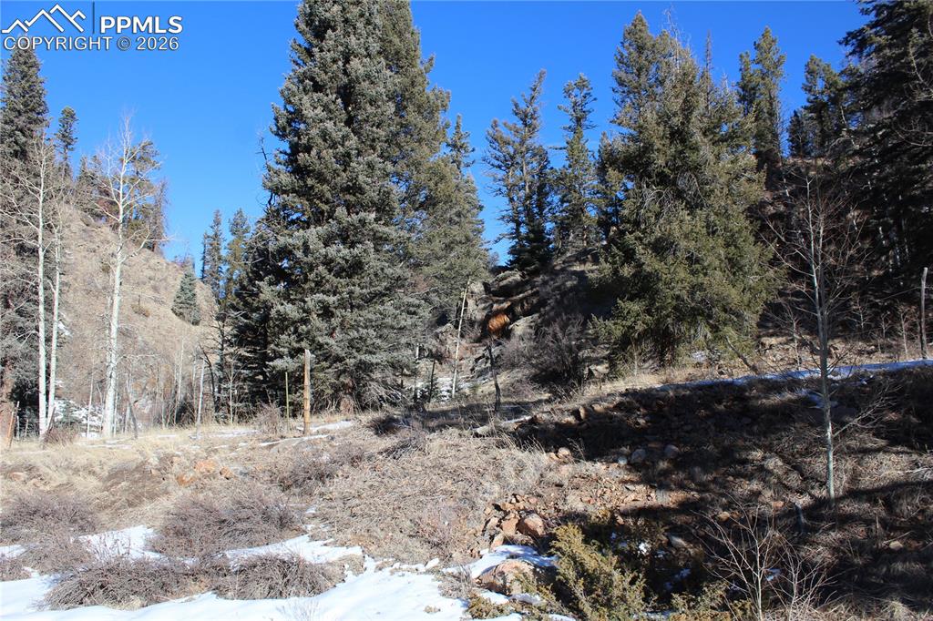 Lot 1 County Road 358 Westcliffe CO 81252