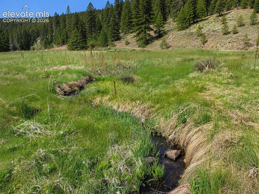 Lot 1 County Road 358 Westcliffe CO 81252