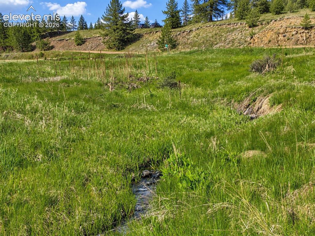 Lot 1 County Road 358 Westcliffe CO 81252