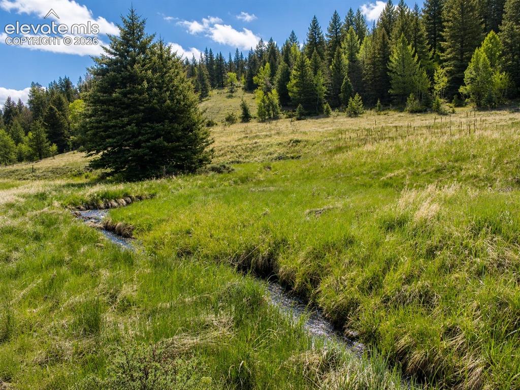 Lot 1 County Road 358 Westcliffe CO 81252
