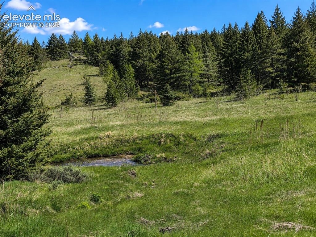 Lot 1 County Road 358 Westcliffe CO 81252