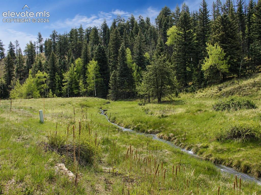 Lot 1 County Road 358 Westcliffe CO 81252