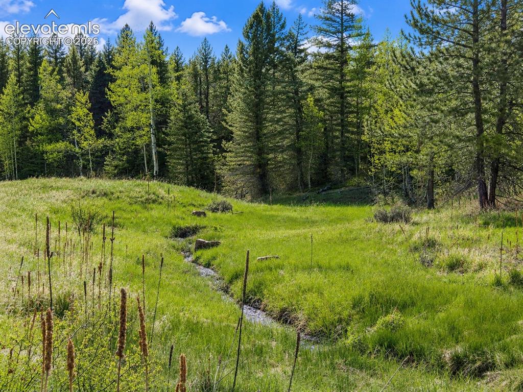 Lot 1 County Road 358 Westcliffe CO 81252