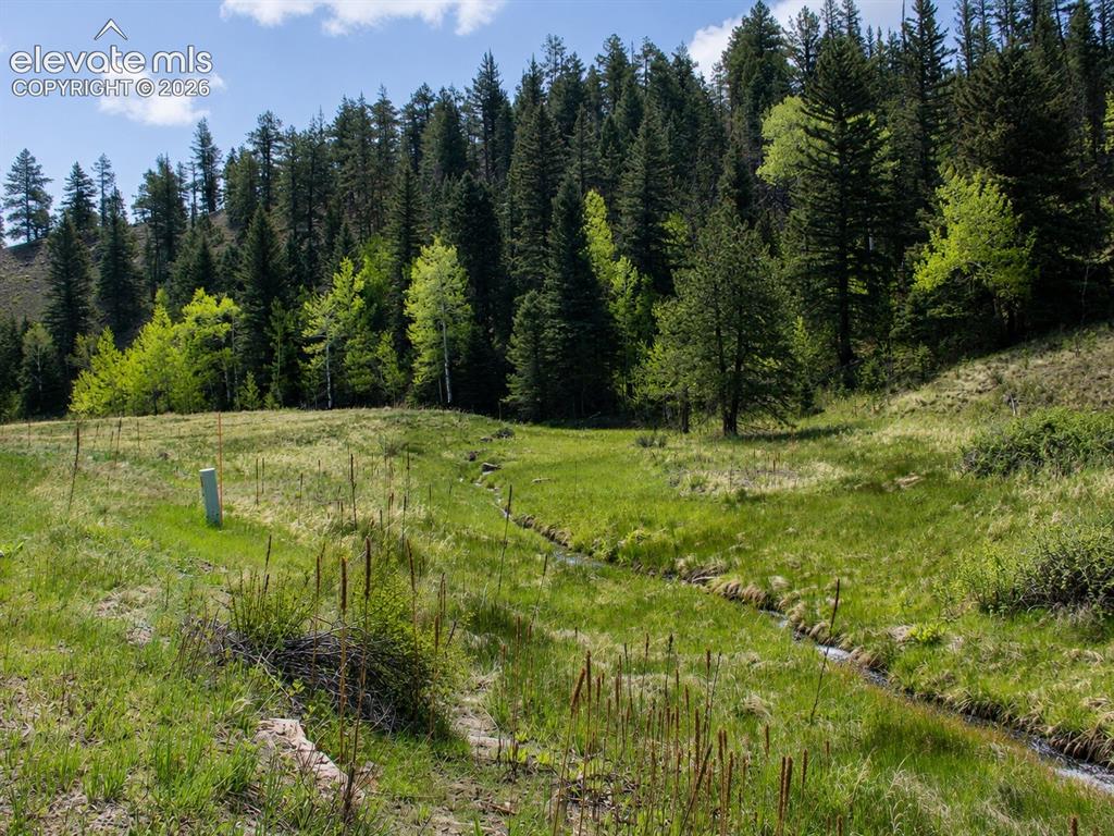 Lot 1 County Road 358 Westcliffe CO 81252