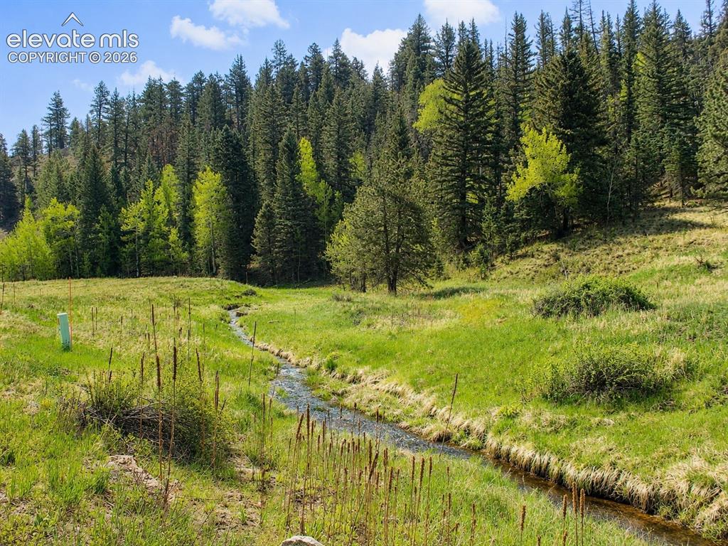 Lot 1 County Road 358 Westcliffe CO 81252