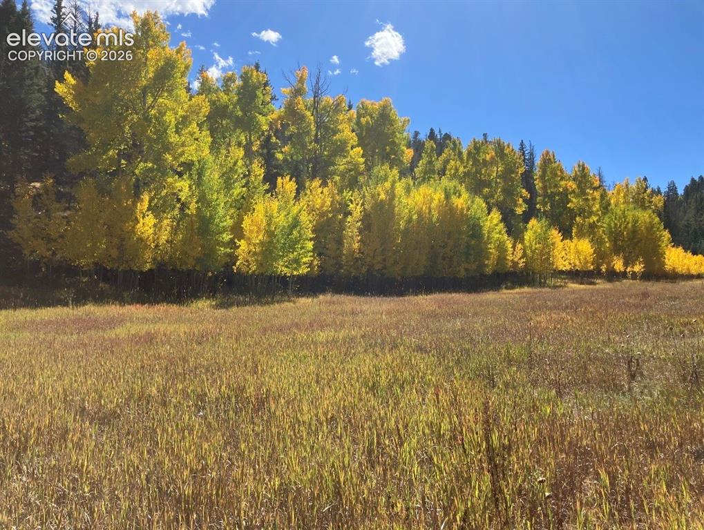 Lot 1 County Road 358 Westcliffe CO 81252