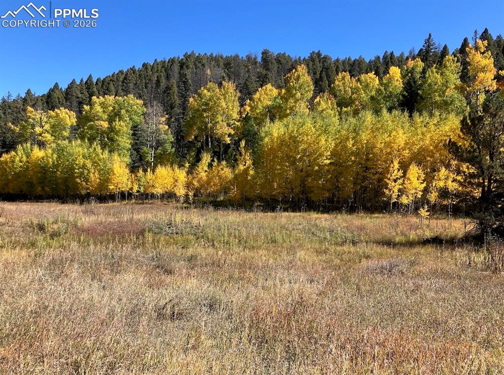 Lot 1 County Road 358 Westcliffe CO 81252