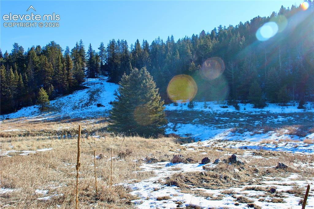 Lot 1 County Road 358 Westcliffe CO 81252
