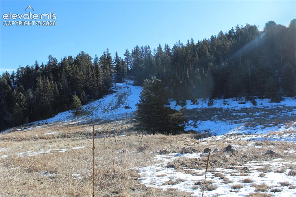 Lot 1 County Road 358 Westcliffe CO 81252