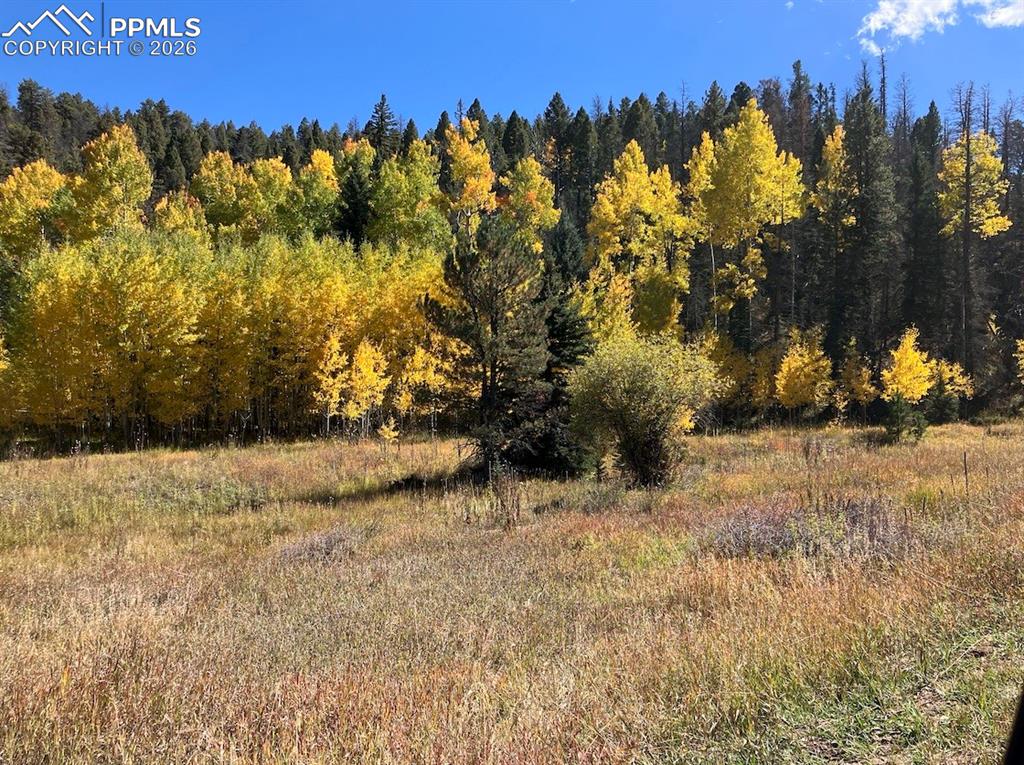 Lot 1 County Road 358 Westcliffe CO 81252
