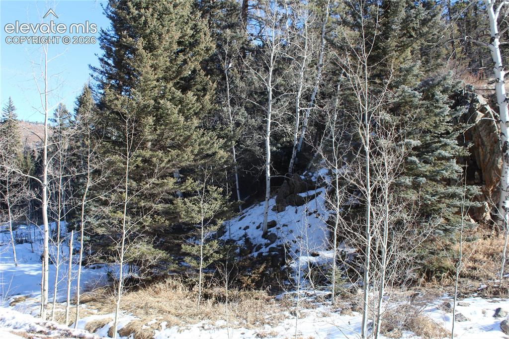 Lot 1 County Road 358 Westcliffe CO 81252