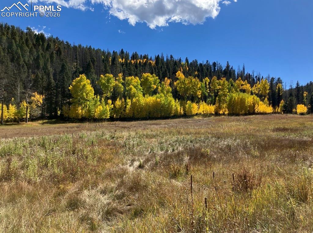 Lot 1 County Road 358 Westcliffe CO 81252