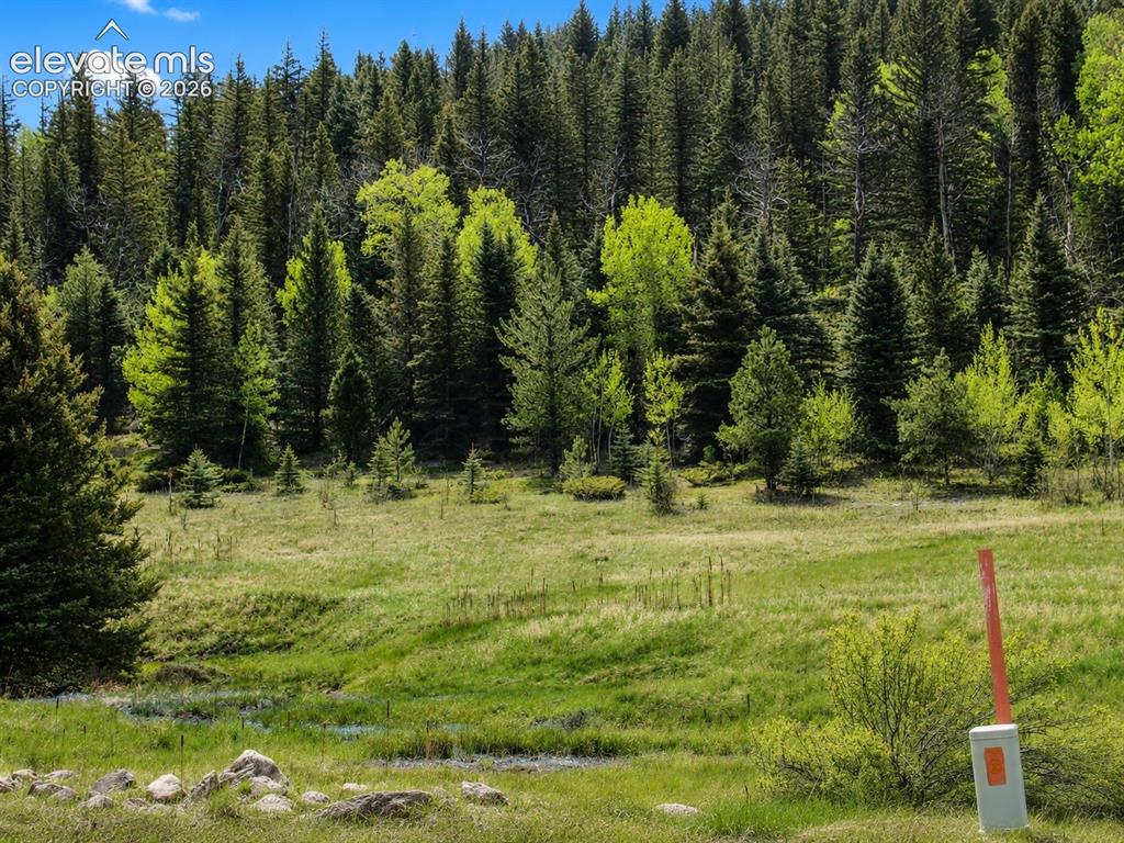 Lot 1 County Road 358 Westcliffe CO 81252