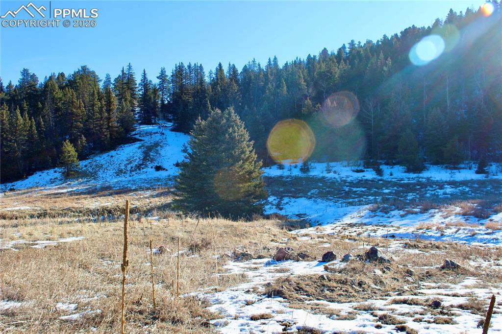 Lot 1 County Road 358 Westcliffe CO 81252