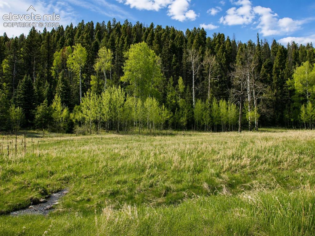 Lot 1 County Road 358 Westcliffe CO 81252