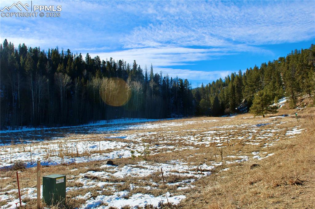 Lot 1 County Road 358 Westcliffe CO 81252