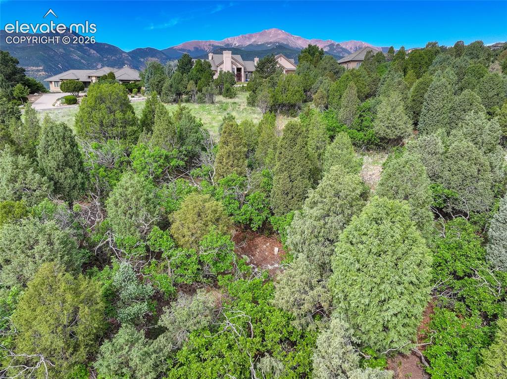3585 Twisted Oak Circle Colorado Springs CO 80904
