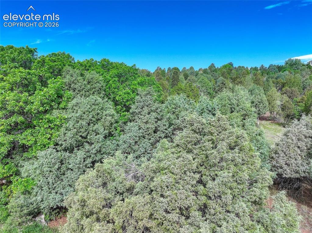 3585 Twisted Oak Circle Colorado Springs CO 80904