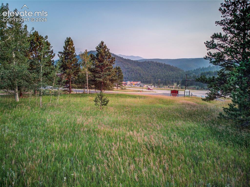 19569 E Highway 24 Woodland Park CO 80863